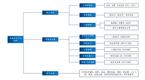 拆家哪家強(qiáng)？上海張江找微創(chuàng)——解碼醫(yī)療器械龍頭的市場突圍之路